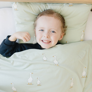 Organic Cotton Pillowcases