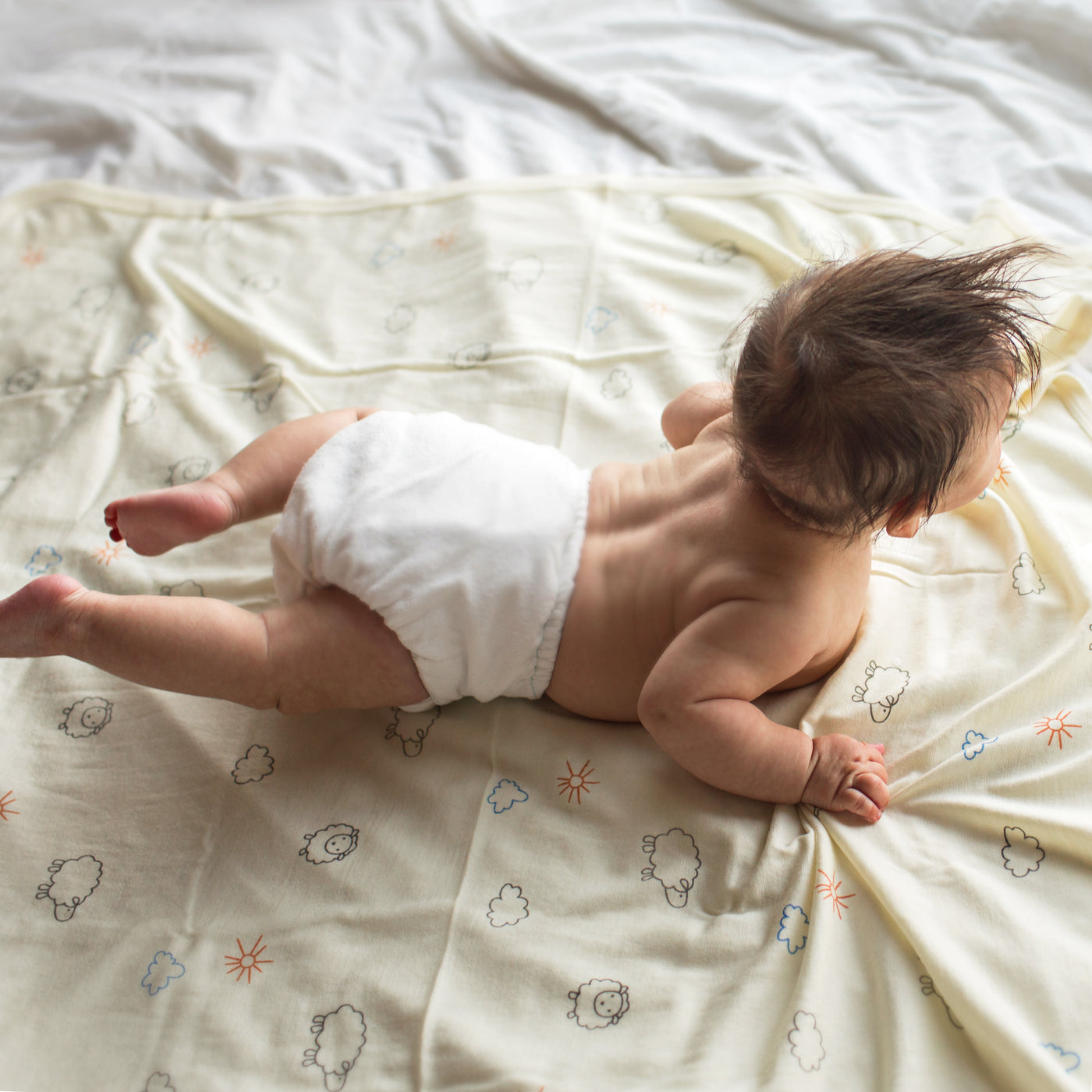 Swaddle Blanket, Merino Wool, Newborn to 3 Months, Sheep