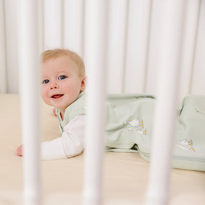 Ecolino® Organic Cotton Classic Baby Sleep Bag or Sack, Goose