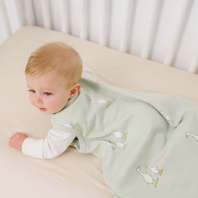 Ecolino® Organic Cotton Classic Baby Sleep Bag or Sack, Goose