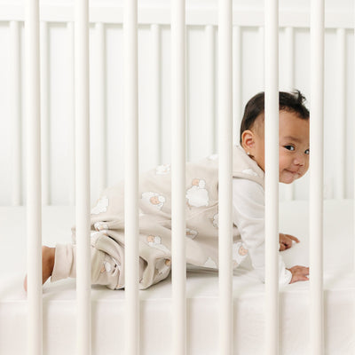 4 Season® Baby Sleep Bag with Feet, Merino Wool & Organic Cotton, Sheep