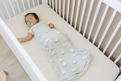 4 Season® Ultimate Baby Sleep Bag, Merino Wool & Organic Cotton, Polar Bear