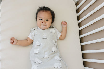 4 Season® Ultimate Baby Sleep Bag, Merino Wool & Organic Cotton, Polar Bear