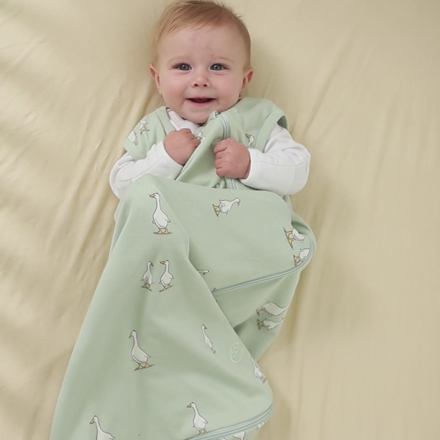 Ecolino® Organic Cotton Classic Baby Sleep Bag or Sack, Goose