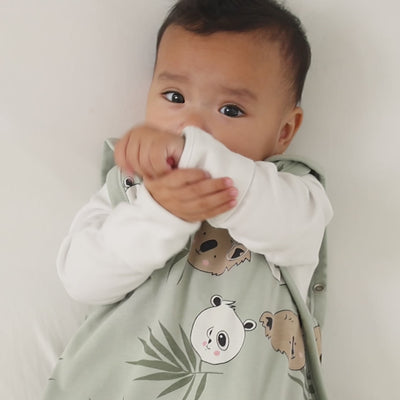 Ecolino® Adjustable Baby Sleep Bag, Organic Cotton, Universal Size: 2 Months - 2 Years, Treetop Safari
