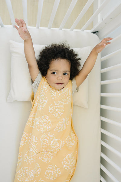 Ecolino® Adjustable Baby Sleep Bag, Organic Cotton, Universal Size: 2 Months - 2 Years, Monstera Leaf